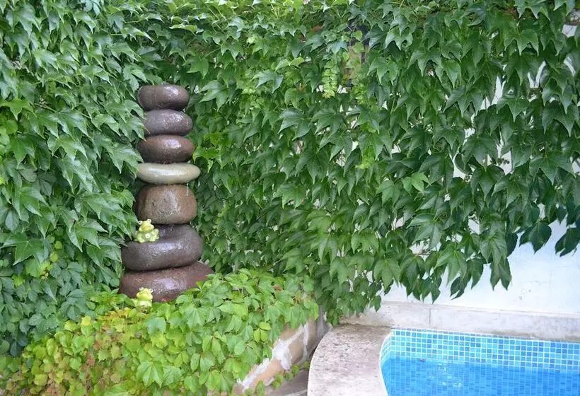 Fotos del hotel More:  15