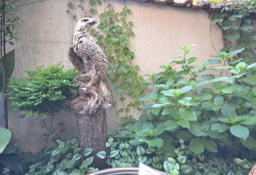 Fotos del hotel More:  12