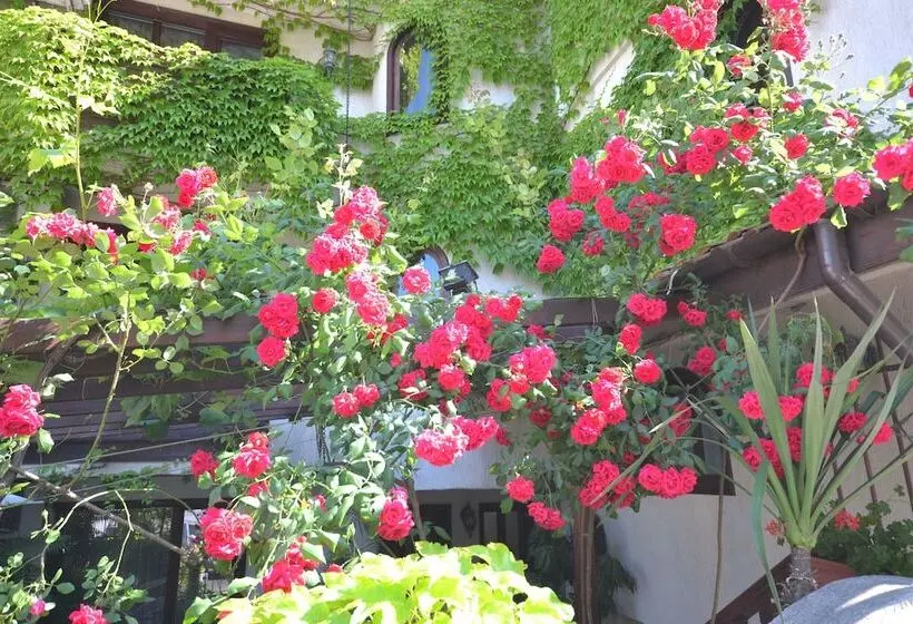 Fotos del hotel More:  13