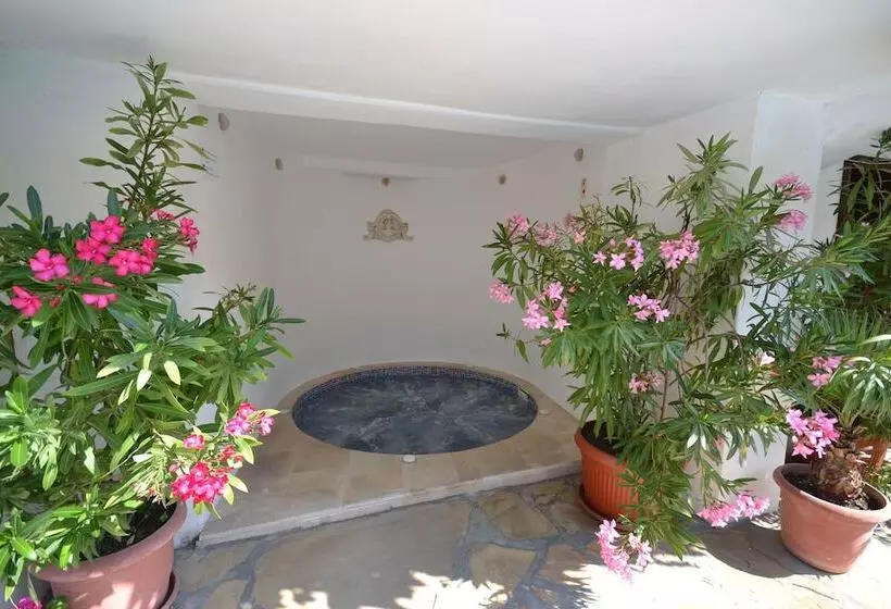 Fotos del hotel More:  4