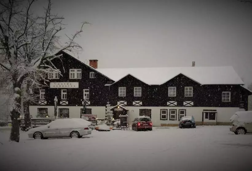 Fotos del hotel Karolina:  9