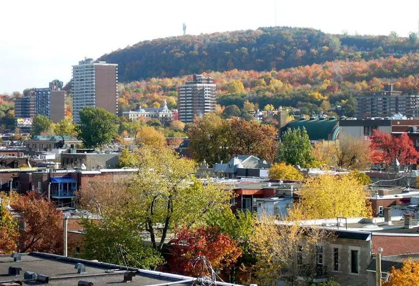 Fotos del hotel Hotel Plateau Royale:  4