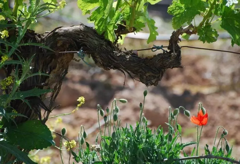 Fotos del hotel El Rondón:  6