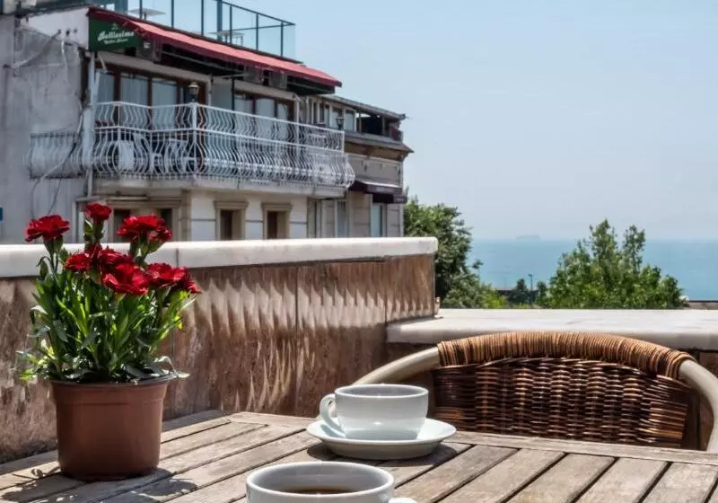 Fotos del hotel Rose Istanbul:  4