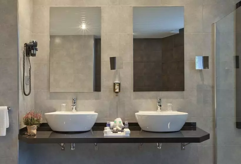 Fotos del hotel Gran Bilbao:  13