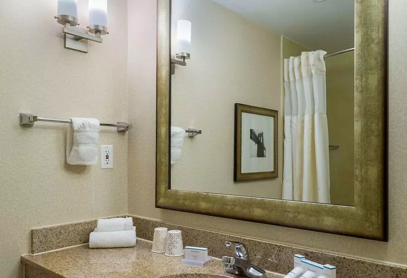 Fotos del hotel Hilton Garden Inn Tribeca:  18