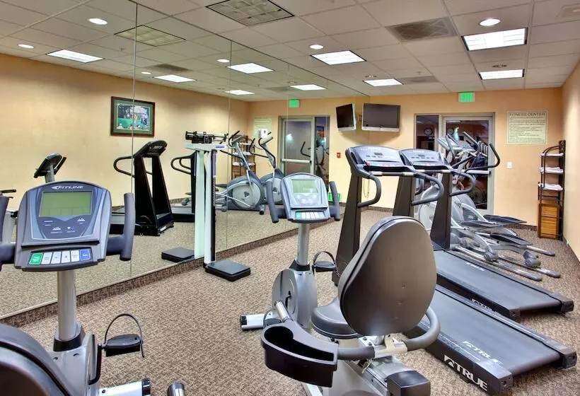 Fotos del hotel Holiday Inn Express  & Suites San Diego Otay Mesa, An Ihg:  11