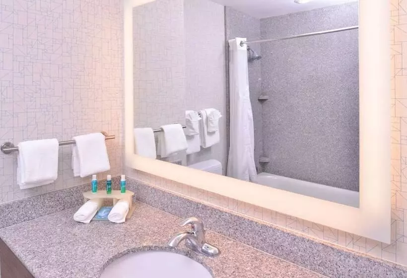 Fotos del hotel Holiday Inn Express  & Suites San Diego Otay Mesa, An Ihg:  15