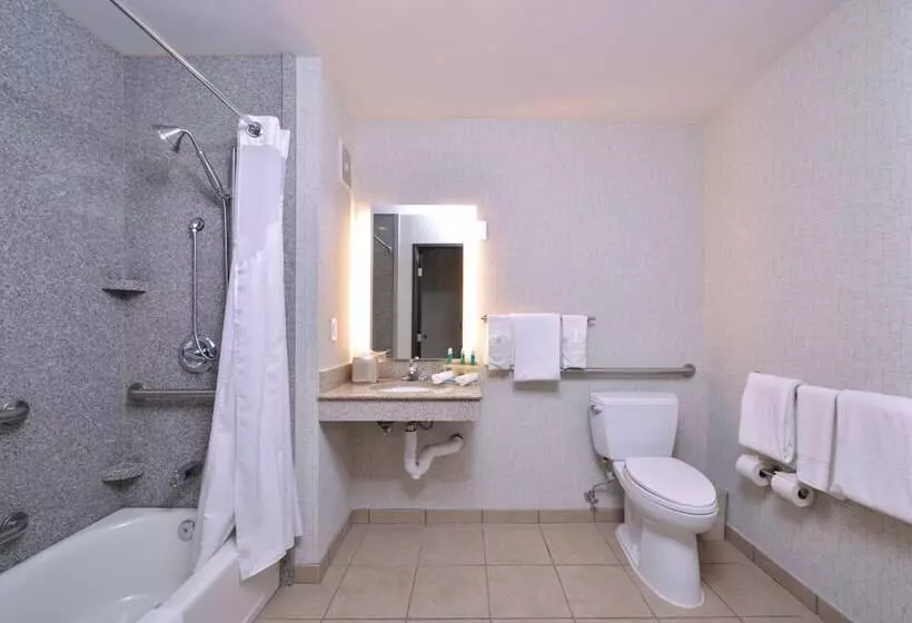 Fotos del hotel Holiday Inn Express  & Suites San Diego Otay Mesa, An Ihg:  7