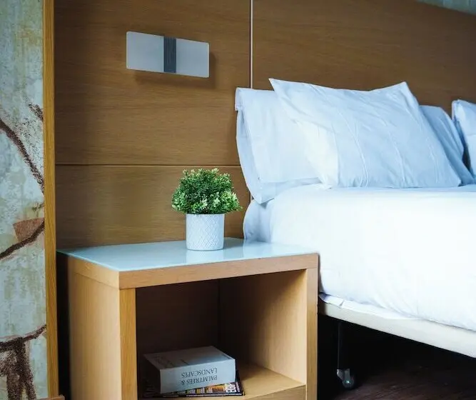Fotos del hotel Gran Bilbao:  11