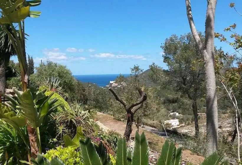 Fotos del hotel Agroturismo Can Pardal:  5