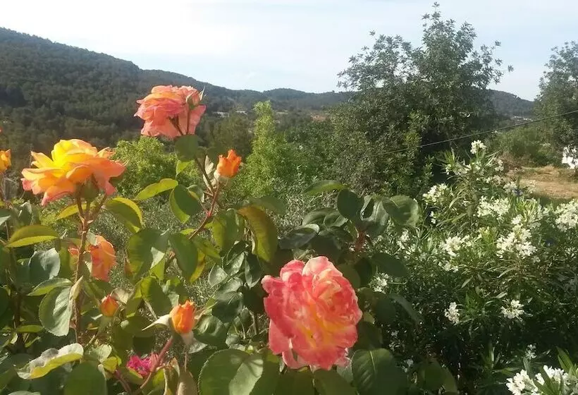 Fotos del hotel Agroturismo Can Pardal:  13