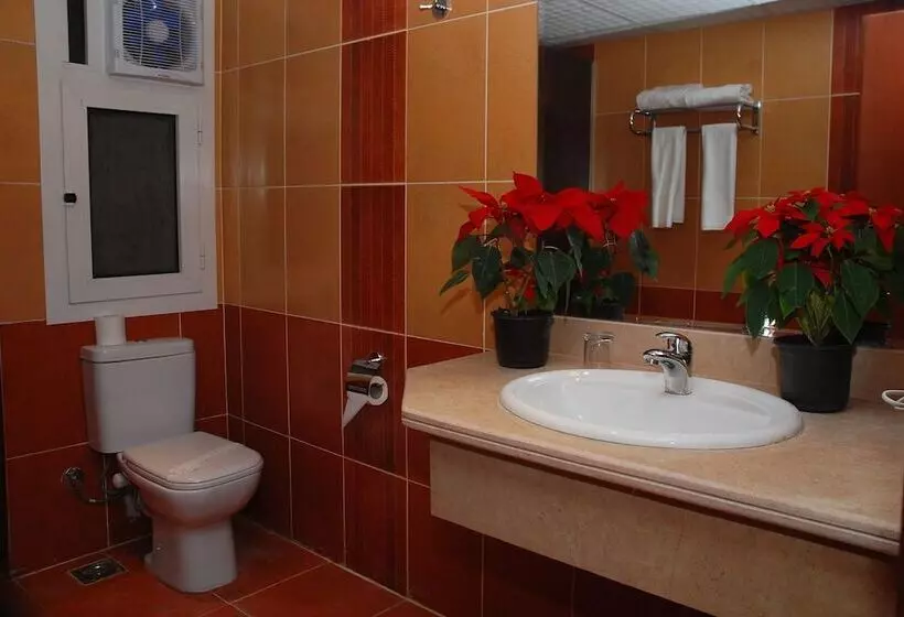 Fotos del hotel Falcon Naama Star Hotel:  5