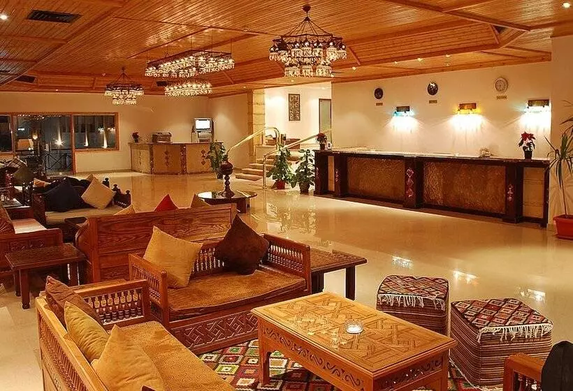 Fotos del hotel Falcon Naama Star Hotel:  13