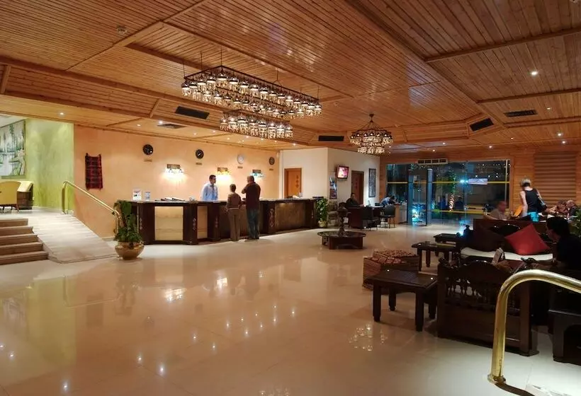 Fotos del hotel Falcon Naama Star Hotel:  3