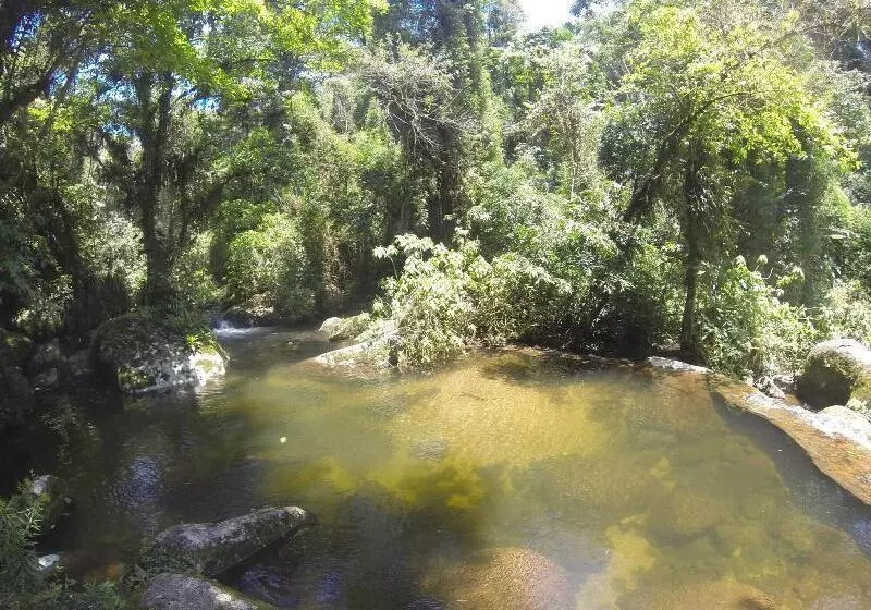 Fotos del hotel Pousada Bromelias:  7