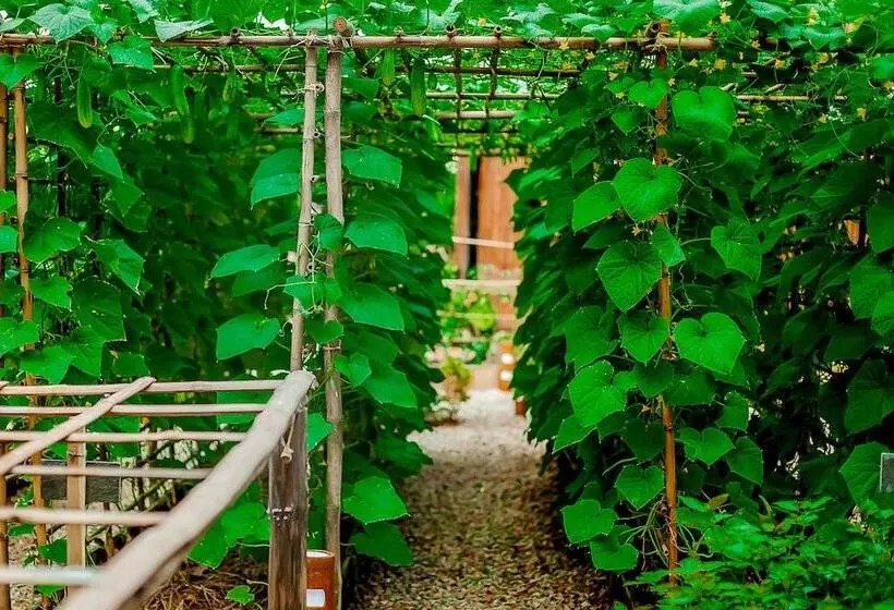 Fotos del hotel Chen Sea Resort & Spa Phu Quoc:  8