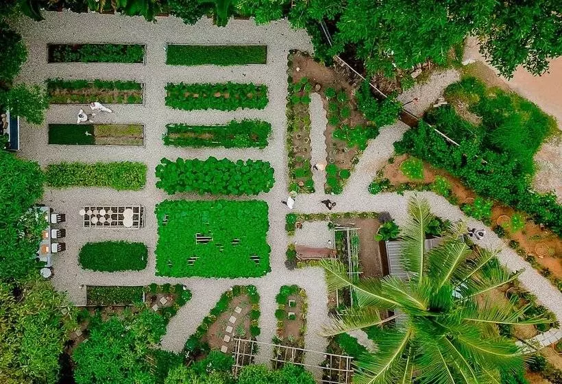 Fotos del hotel Chen Sea Resort & Spa Phu Quoc:  22