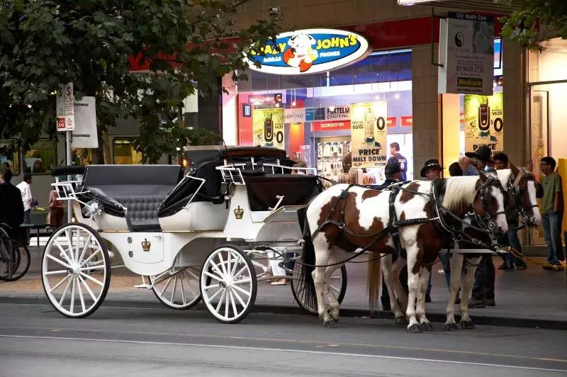 Fotos del hotel Mercure Melbourne Therry Street:  7