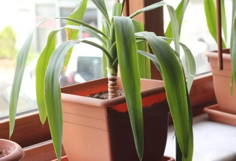 Fotos del hotel Melita:  4