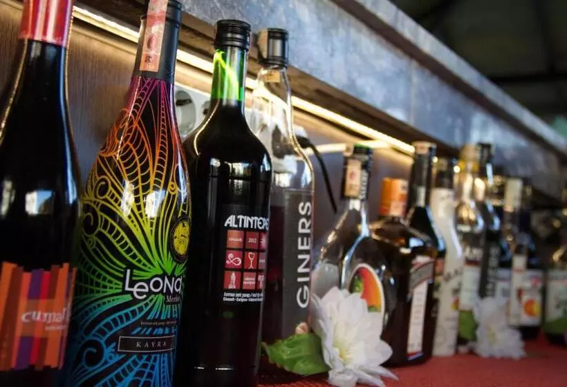 Fotos del hotel Remer:  22