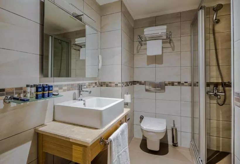 Fotos del hotel Venera:  7