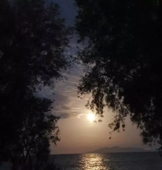 Fotos del hotel Arion Bay:  24