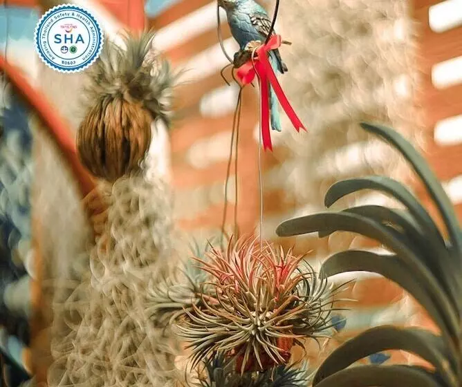 Fotos del hotel Mei Zhou Phuket   Sha Plus:  9