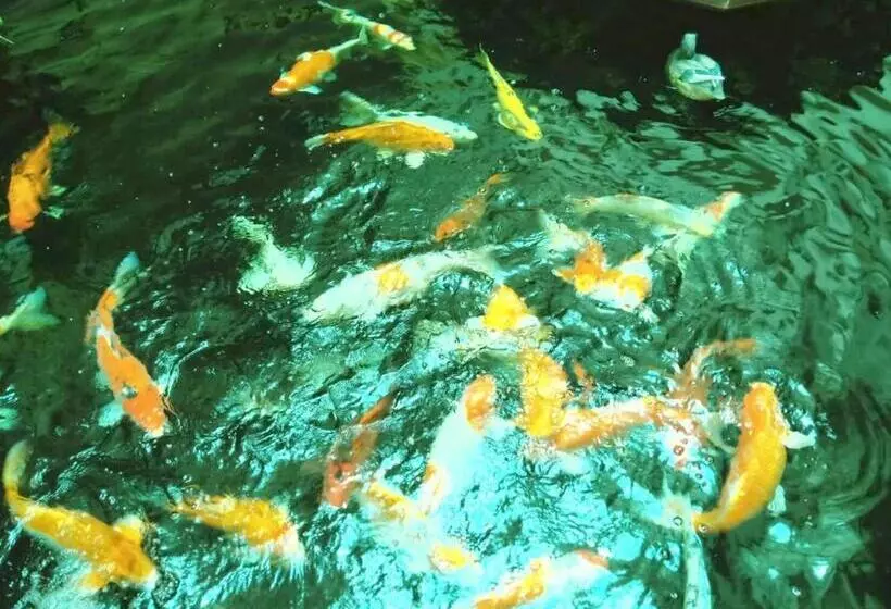 Fotos del hotel Mei Zhou Phuket   Sha Plus:  3