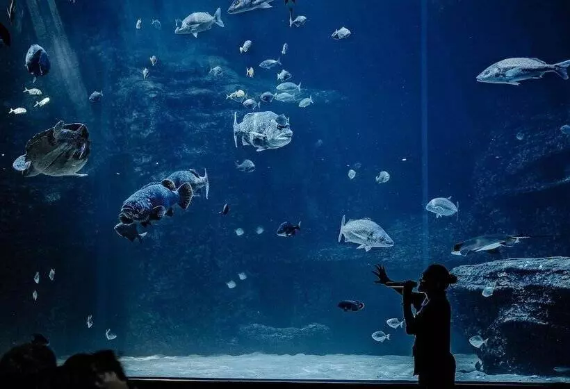 Fotos del hotel Taj Cape Town:  6