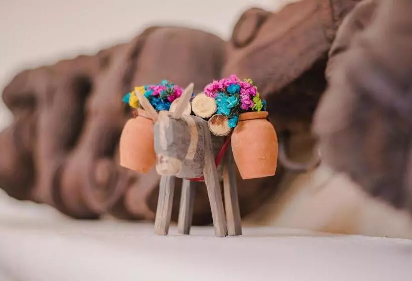 Fotos del hotel Casa Liza:  8