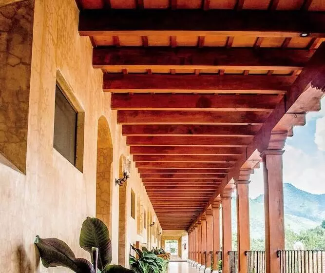 Fotos del hotel Filadelfia Coffee Resort & Tours:  4