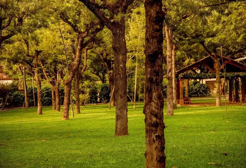 Fotos del hotel Filadelfia Coffee Resort & Tours:  18