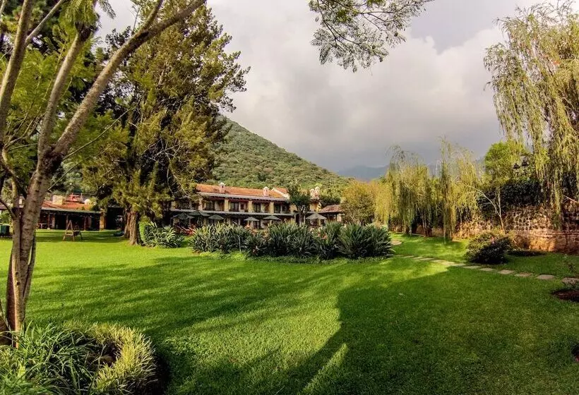 Fotos del hotel Filadelfia Coffee Resort & Tours:  20