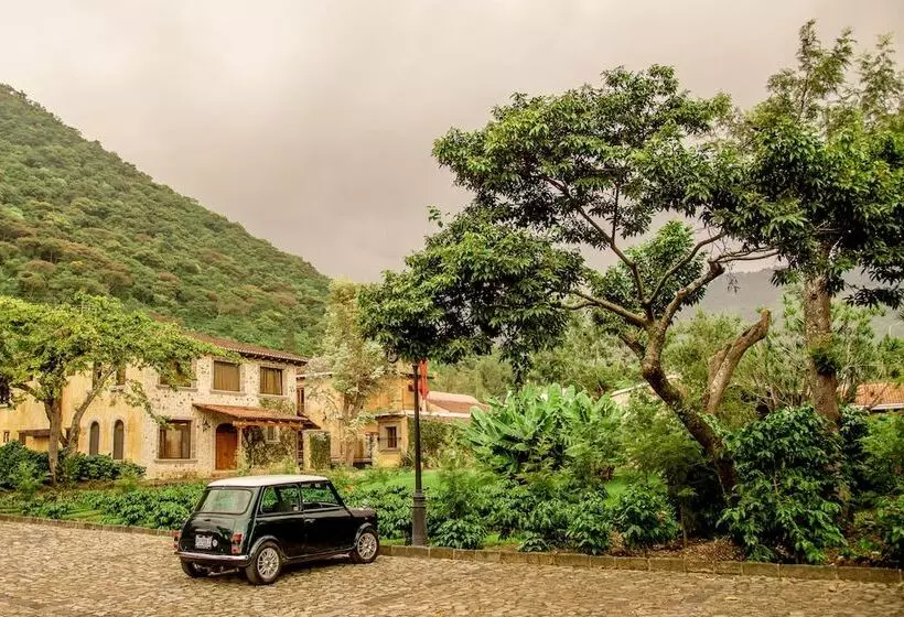 Fotos del hotel Filadelfia Coffee Resort & Tours:  21