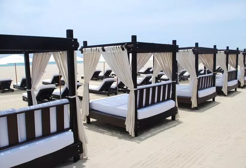 Fotos del hotel Cabo Azul Resort By Diamond Resorts:  16