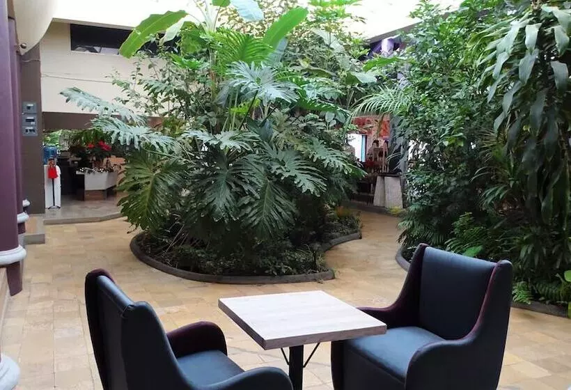 Fotos del hotel Jardines Del Centro:  3