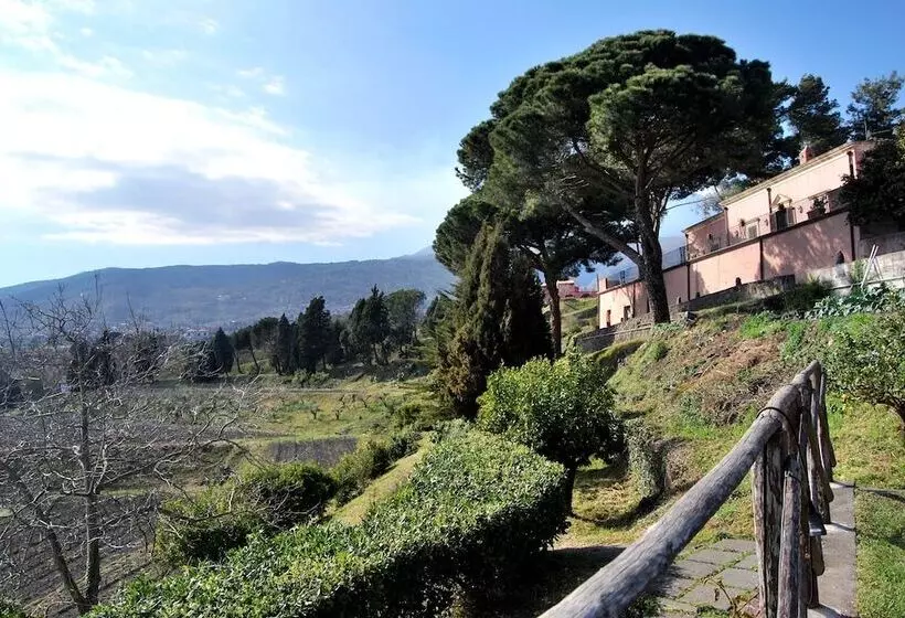 Fotos del hotel Etnea 316:  12