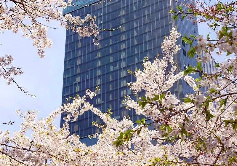 Fotos del hotel Sofitel Ambassador Seoul:  9