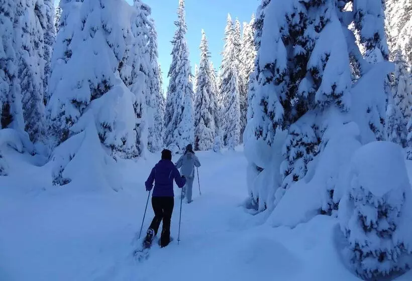 Fotos del hotel Apartments Lores:  11