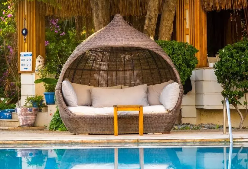 Fotos del hotel Costa Bodrum City:  9