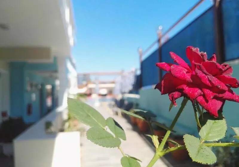 Fotos del hotel Epis:  5