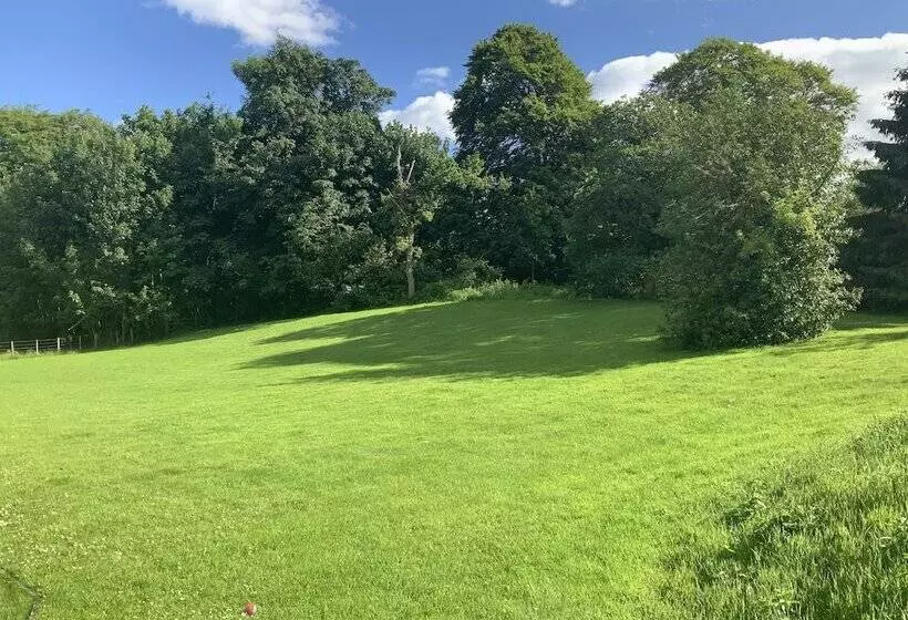 Fotos del hotel Antfield House:  10