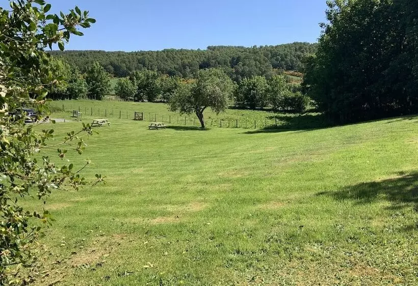 Fotos del hotel Antfield House:  6