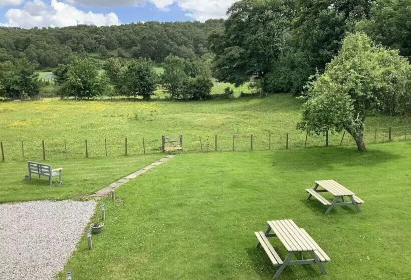 Fotos del hotel Antfield House:  18