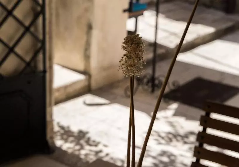 Fotos del hotel Slavija:  9