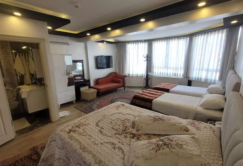 Fotos del hotel Abella:  13