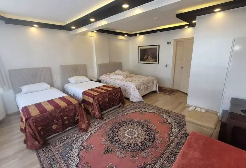 Fotos del hotel Abella:  4