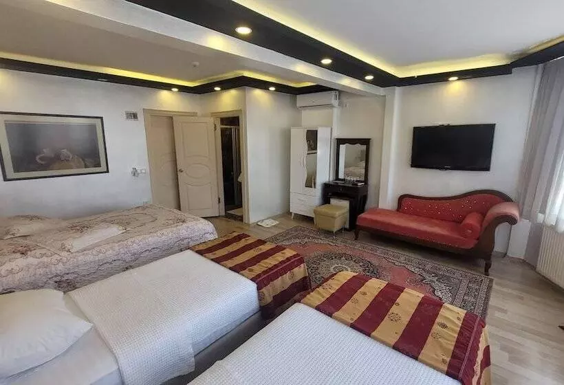 Fotos del hotel Abella:  15