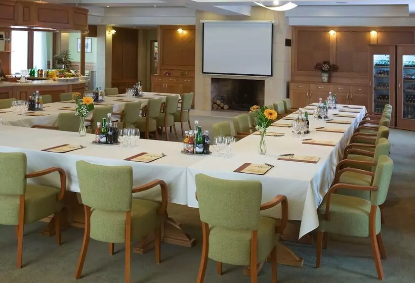 Fotos del hotel Dolce Villa:  14